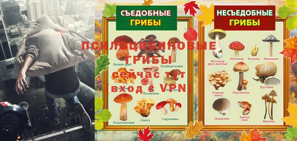 трава Армянск