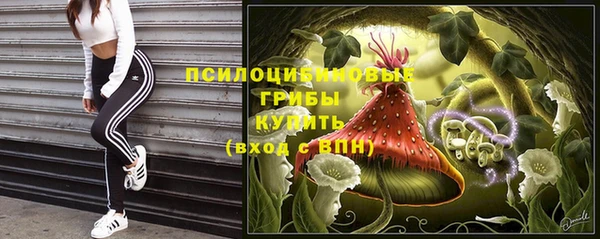 дмт Аркадак