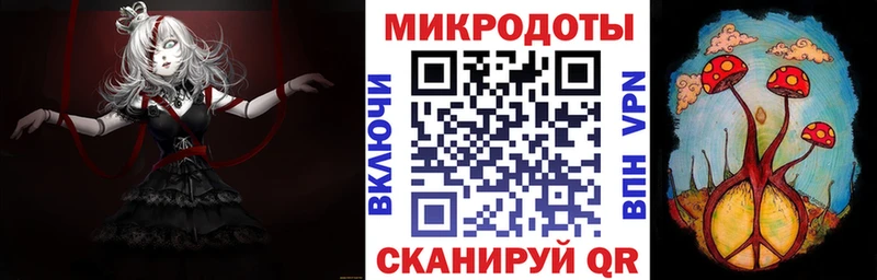 наркота Ветлуга Псилоцибиновые грибы MAGIC MUSHROOMS